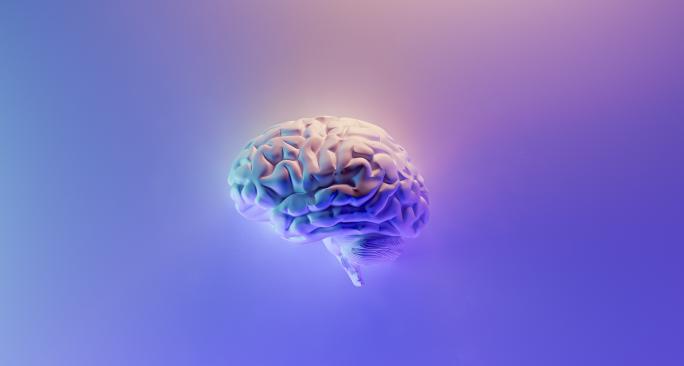 Humans: The key to accelerating growth in the AI creation